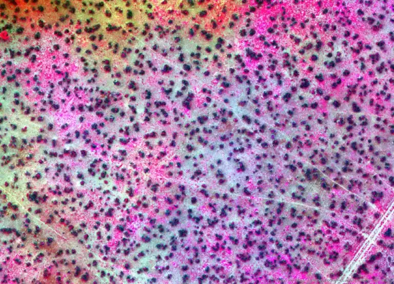 Colorful abstract pattern with tiny black dots