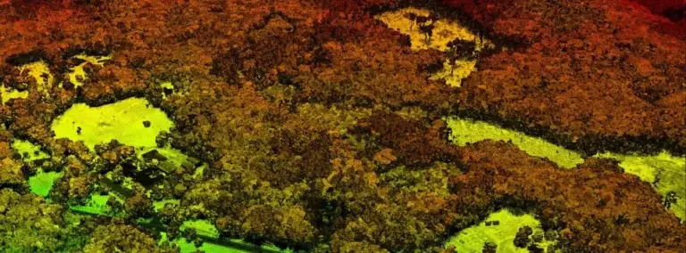 Aerial view of vibrant, dense forest landscape.