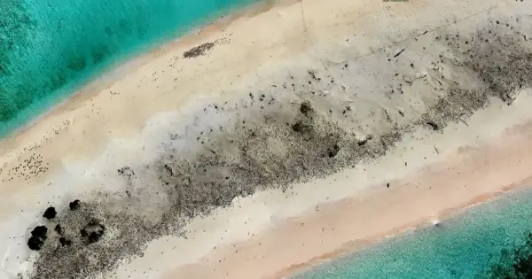 Aerial view of a beach with sea and sand