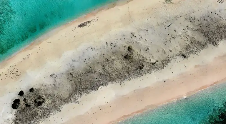 Aerial view of a beach with sea and sand