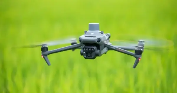 Flying drone over green rice field.