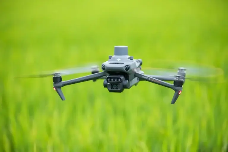 Flying drone over green rice field.