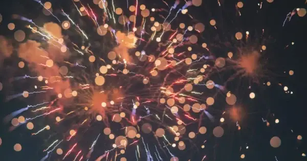 Colorful fireworks display in night sky