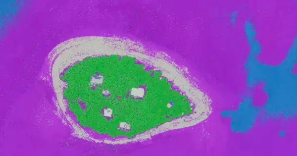 Aerial view of a green island with buildings.