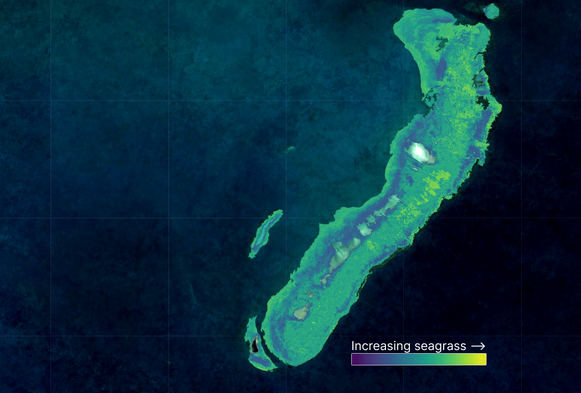 seagrass prediction