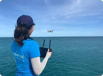 Aerial drone data capture