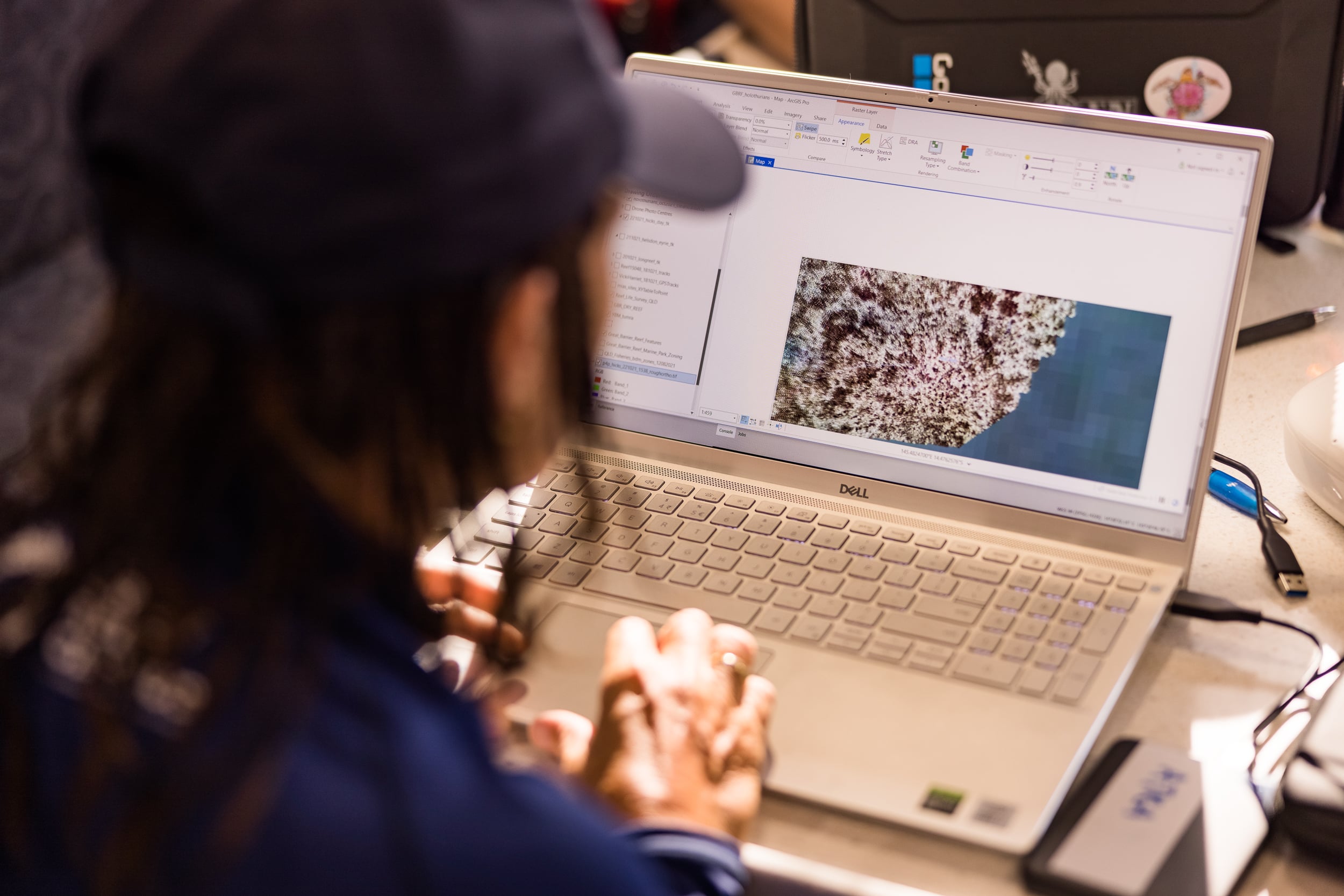 analysing drone mapping images