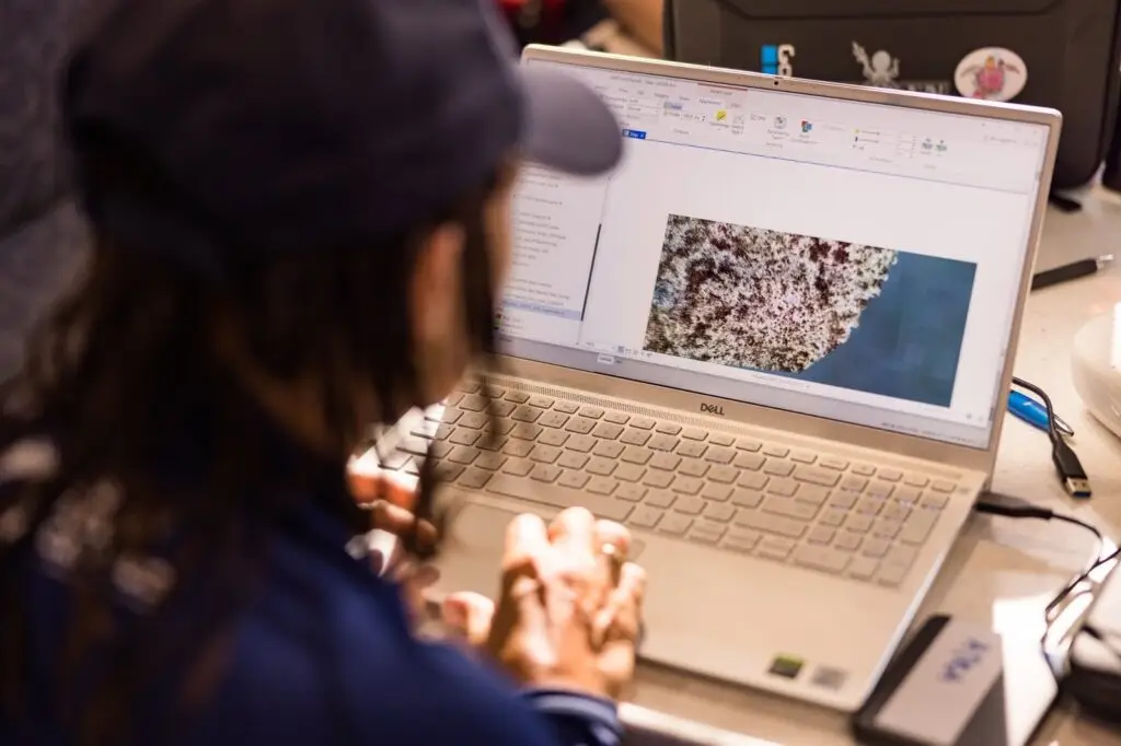 Person analysing coral image on laptop