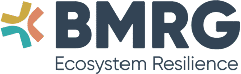 bmrg logo pos rgb lge