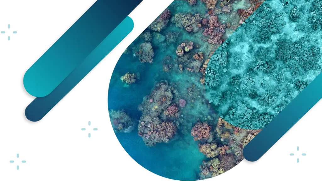 drone workshop