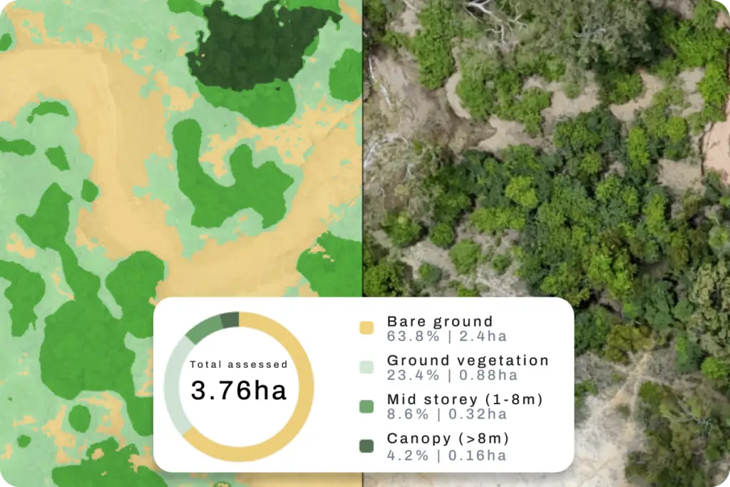 Vegetation Cover